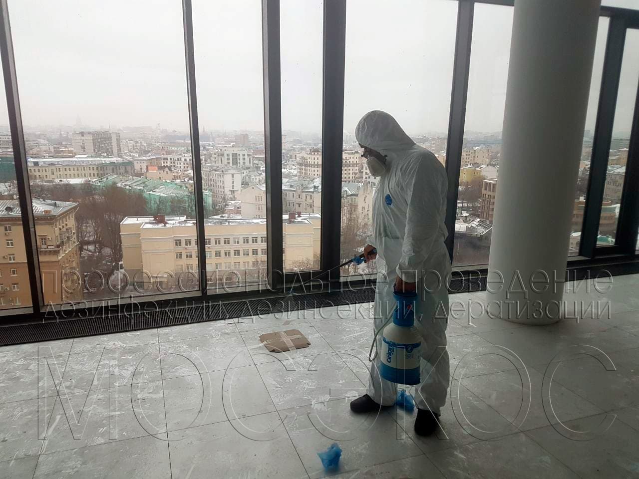 Уничтожение клопов в офисе  в Видном