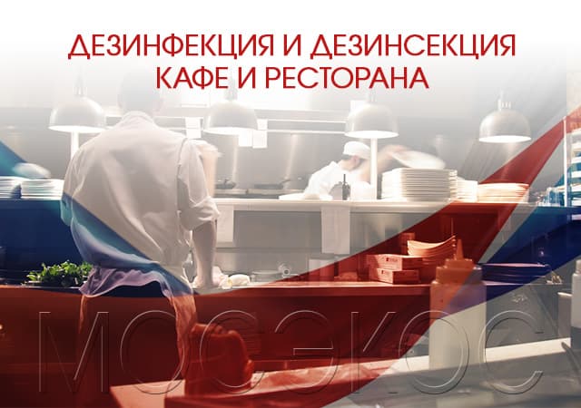 Дезинсекция предприятия общественного питания в Видном